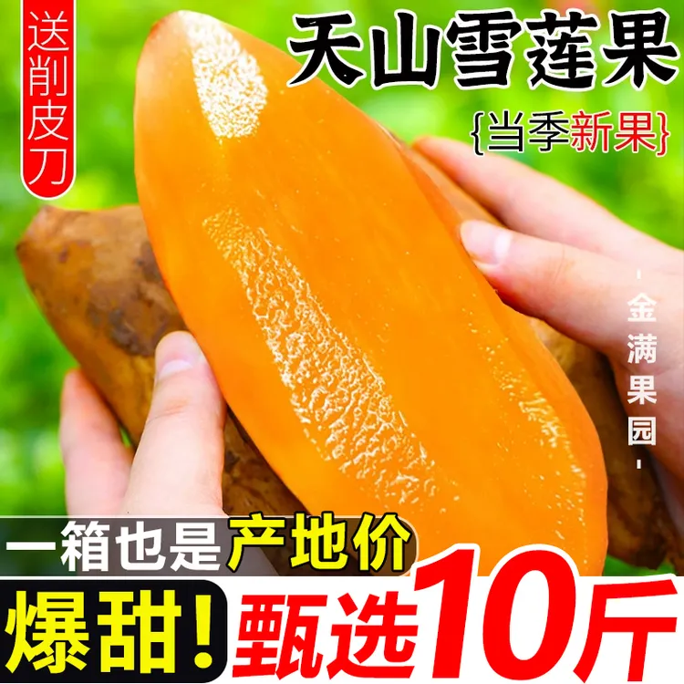 【10斤特价】云南正宗黄心天山雪莲果新鲜水果应季批发黄心一整箱