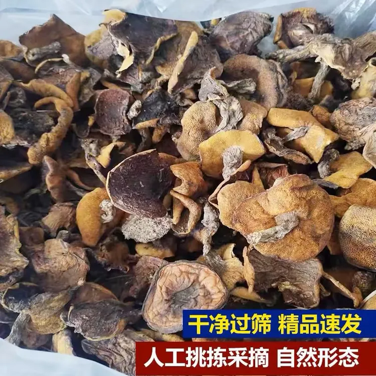 农家自采当年松蘑粘蛾子食用菌炖鸡香味浓郁