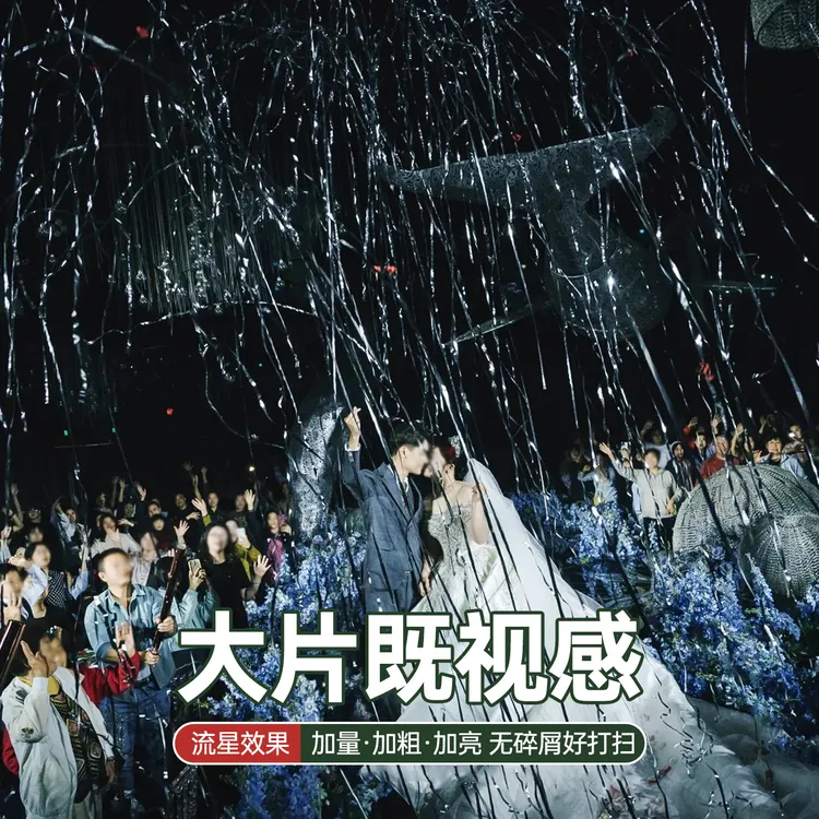 结婚专用手持银色丝礼炮流星雨彩带礼花筒婚礼现场氛围感道具B023