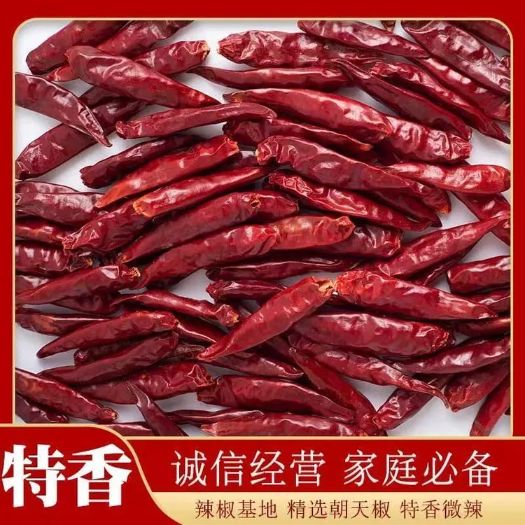 河南新一代三樱椒干辣椒微辣爆香无把无帽精品老人小孩都能吃