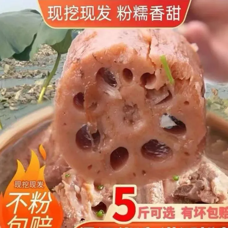 【不粉包赔】仙桃沔城九孔粉藕、粉糯香甜、汤汁浓郁