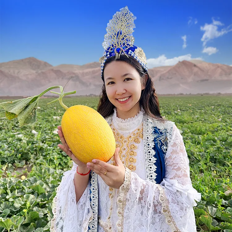 【瓜王】头茬金色年华哈密瓜新疆吐鲁番火焰山哈密瓜脆甜多汁新鲜