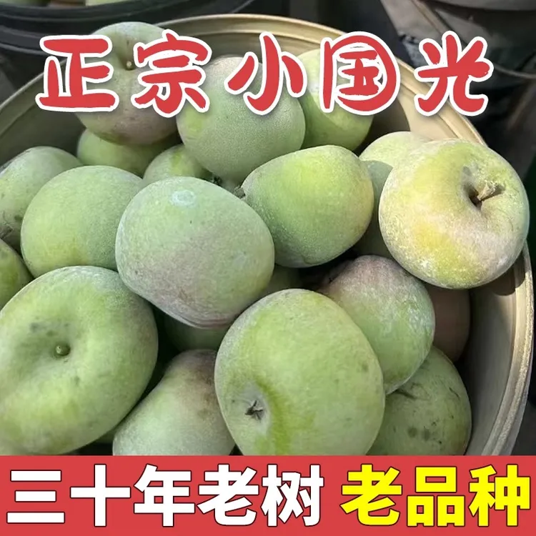 2025年新果辽宁盖县国光苹果特产国光苹果孕妇水果非富士酸甜苹果