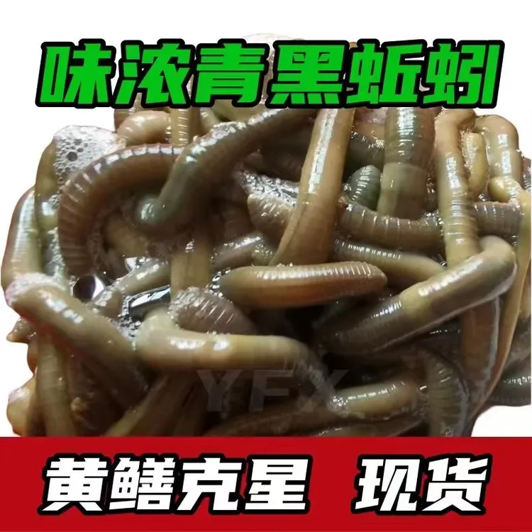 鲜活青蚯蚓黑蚯蚓海钓钓黄鳝通用活体腥臭诱饵