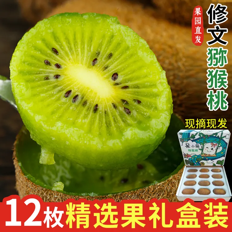正宗修文猕猴桃12枚果园现摘直发当季绿心奇异新鲜水果呆小萌礼盒