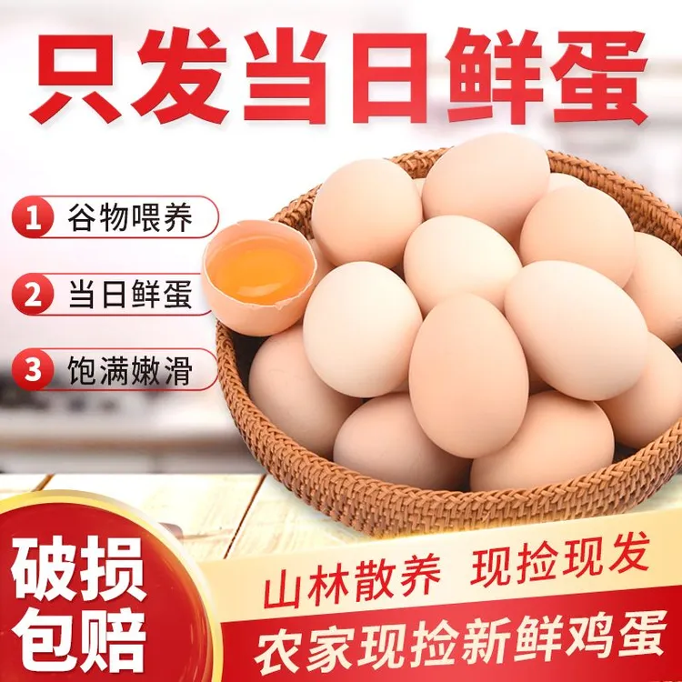 50枚精品山林散养土鸡蛋农家笨鸡蛋单枚45±5克净重2050克新鲜鸡蛋
