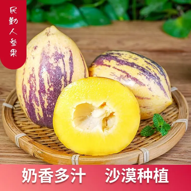 树熟黄肉 甘肃民勤沙漠人参果低糖清甜当季水果新鲜