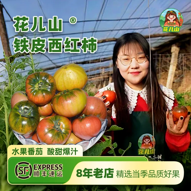 【铁皮柿子 甄选果径】正宗清爽碱地柿子草莓番茄酸甜浓郁东北特产