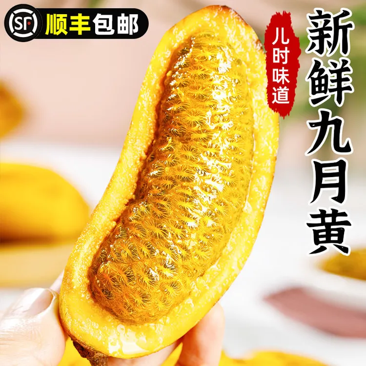 新鲜九月黄当季水果罕见鲜果牛卵坨八月瓜木通果野果特产整箱包邮