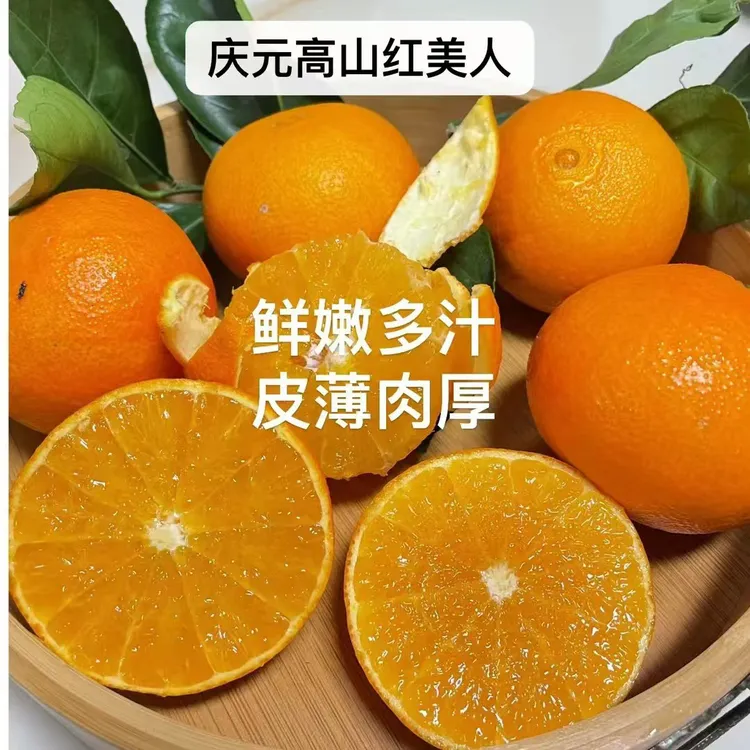 庆元爱媛38号红美人、细嫩多汁、现採新鲜水果孕妇适用维C手剥橙子