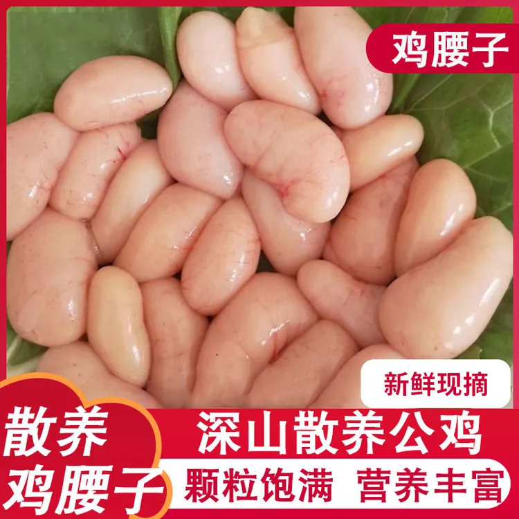 正宗农家土鸡公鸡鸡卵新鲜鸡腰子散养公鸡腰子小号鸡肾鸡卵宝生鲜