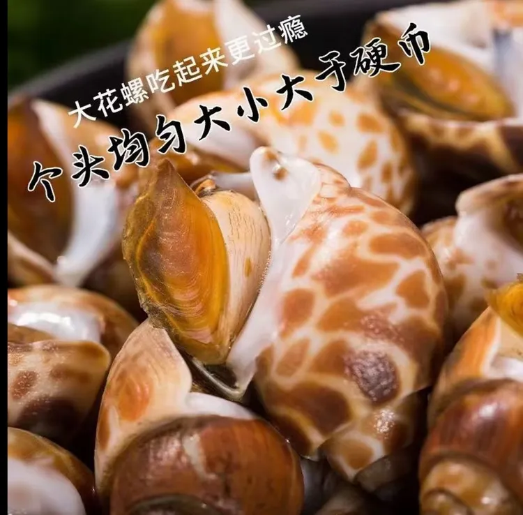 【拍2斤发4斤】鲜活冷冻花螺海鲜螺类干净鲜甜急冻锁鲜无沙无水