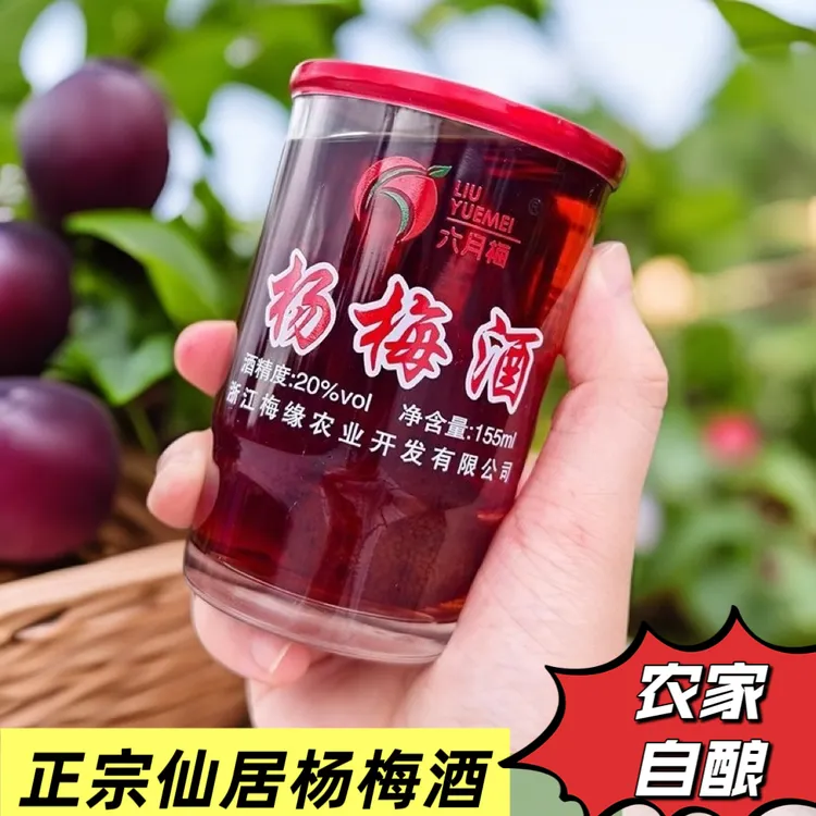 LIUYUEMEI/六月梅仙居自酿微醺杨梅果酒梅子酒杨梅酒