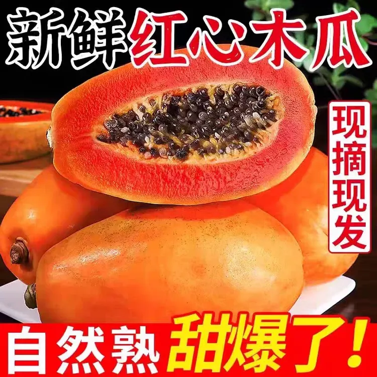 【树上熟】广东雷州冰糖红心木瓜应季牛奶木瓜新鲜水果现摘