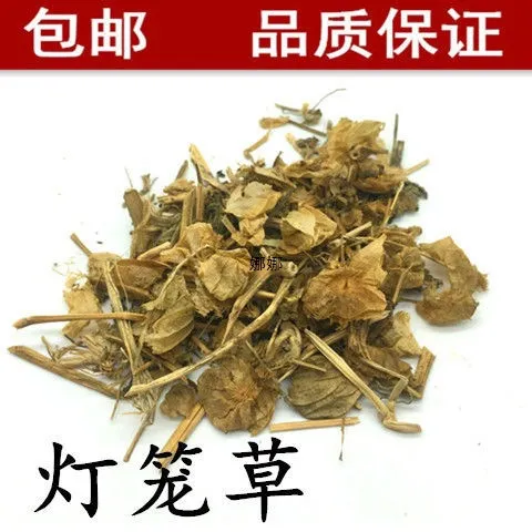 灯笼草 打卜草 打额泡 天泡草 黄灯笼 黄姑娘