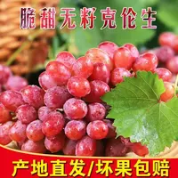 【顺丰/京东】克伦生葡萄提子新鲜头茬克伦生小糖豆克伦森瑞森红提
