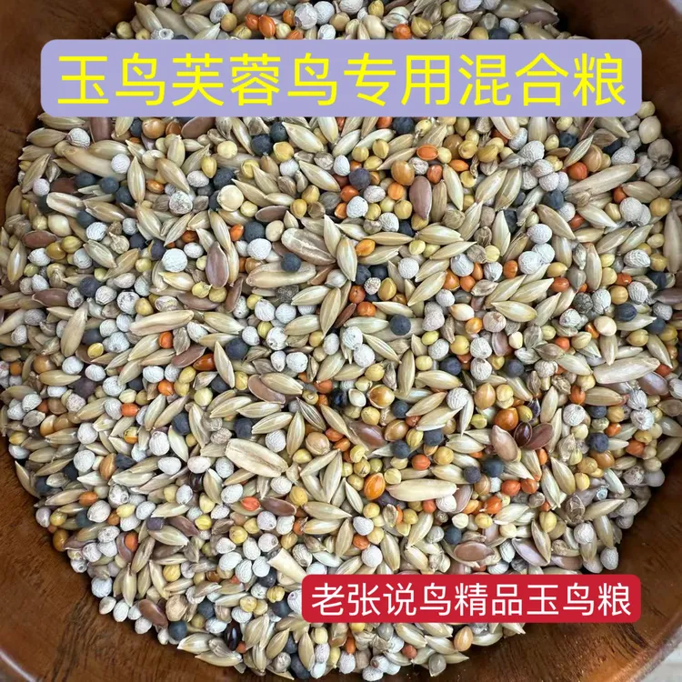 老张说鸟 玉鸟繁殖期专用精品混合粮 十合一配方混合粮现配现发