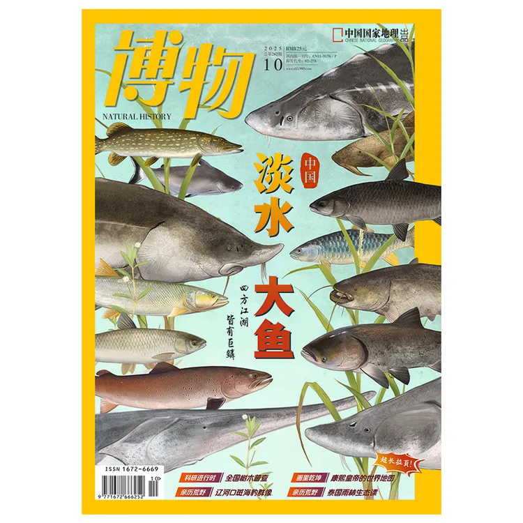 中国国家地理《博物》2025年10月杂志 淡水大鱼青少年趣味科普读物