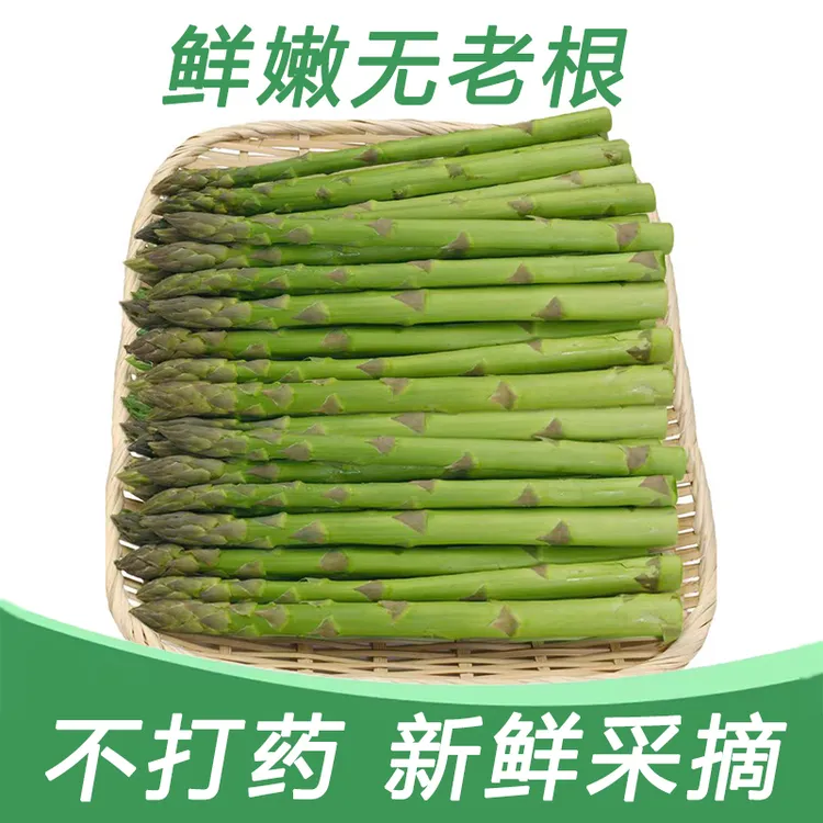 基地直发当日鲜芦笋 保鲜包嫩 春季精品绿笋 当季蔬菜  农家新鲜