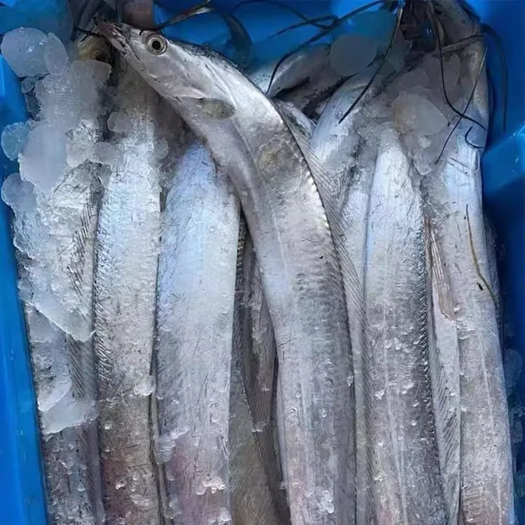 【何鲜记】 东海小眼油脂大带鱼1.5kg 6-9条/箱  约165-250g/条