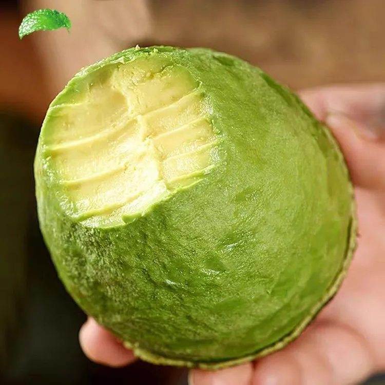 200~250g(6颗装)精品牛油果