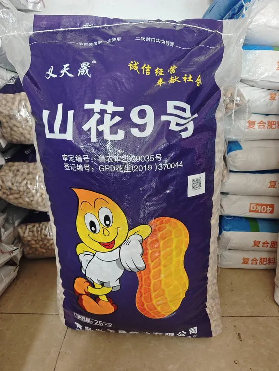 高产花生原种山花9号带壳抗逆性强不空壳不落果不生芽