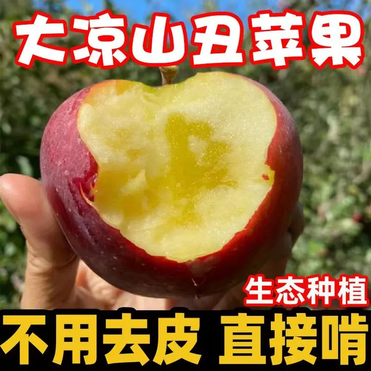 【2025年】大凉山现摘现发丑苹果昭通甜苹果5斤红富士脆甜多汁好吃