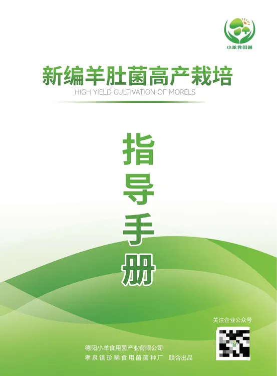 羊肚菌种植实用指导手册（勇哥专属）
