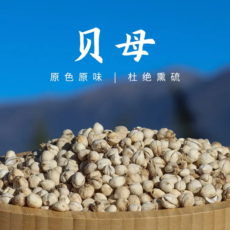 西藏本地发货贝母100g自然晾晒微黄带虎皮斑点无硫熏无漂白