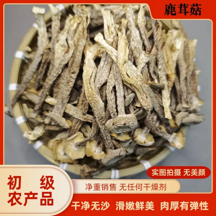 【净重发货】精选新货鹿茸菇正宗无熏硫无干燥剂商用煲汤食材