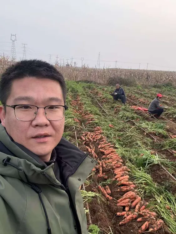 山西原平特产崖底胡萝卜9斤