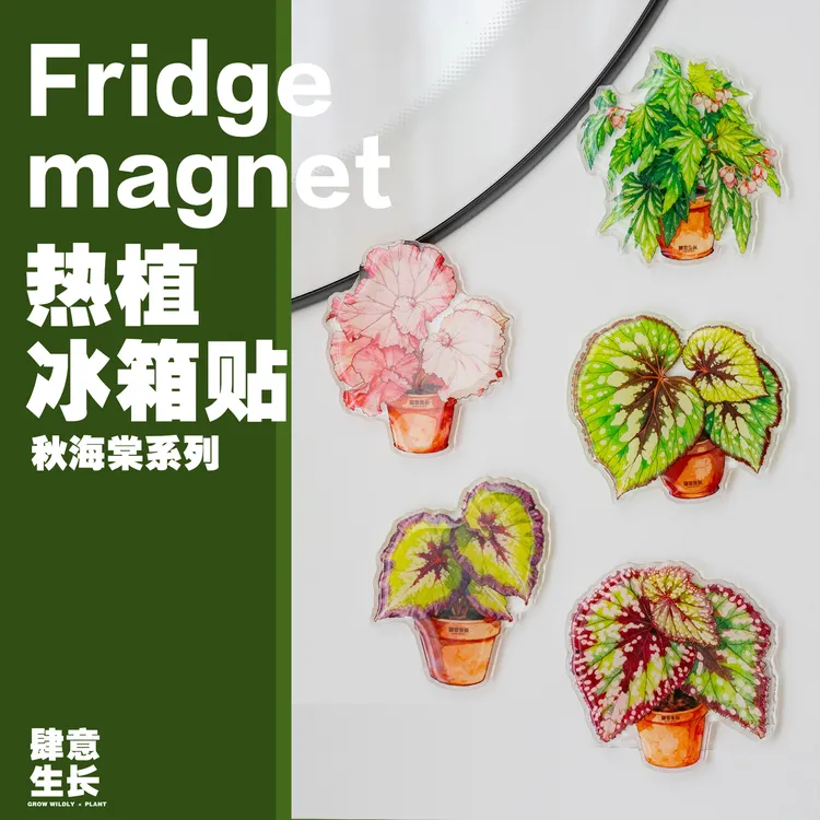 创意热植秋海棠蔓绿绒叶子造型磁吸亚克力冰箱贴