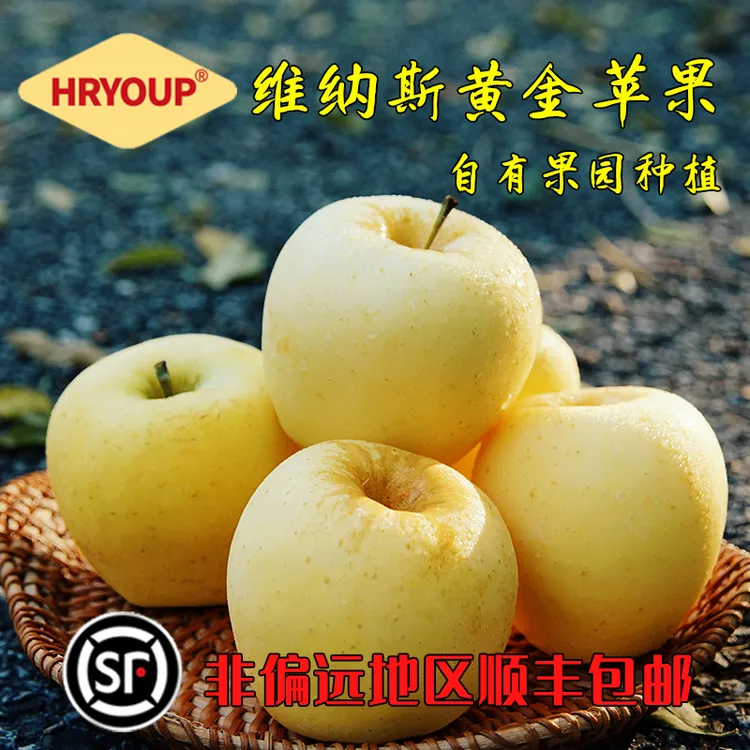 HRYOUP正宗维纳斯黄金苹果山东烟台产区礼盒纯甜香脆多汁应季果