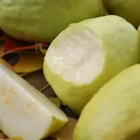 【老沙严选】隆升果业奶油白心芭乐礼盒装2.3斤左右