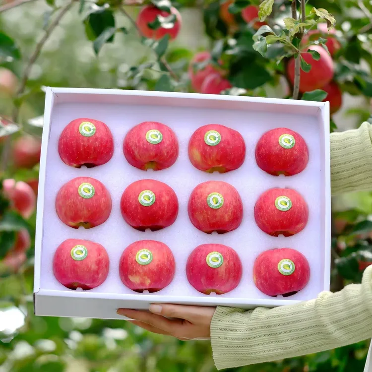 【顺丰包邮】陕西白水秦脆苹果新品种脆甜爽口当季新鲜水果4.5斤
