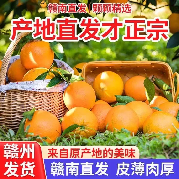 正宗赣南脐橙原产地直发不催熟不打蜡t