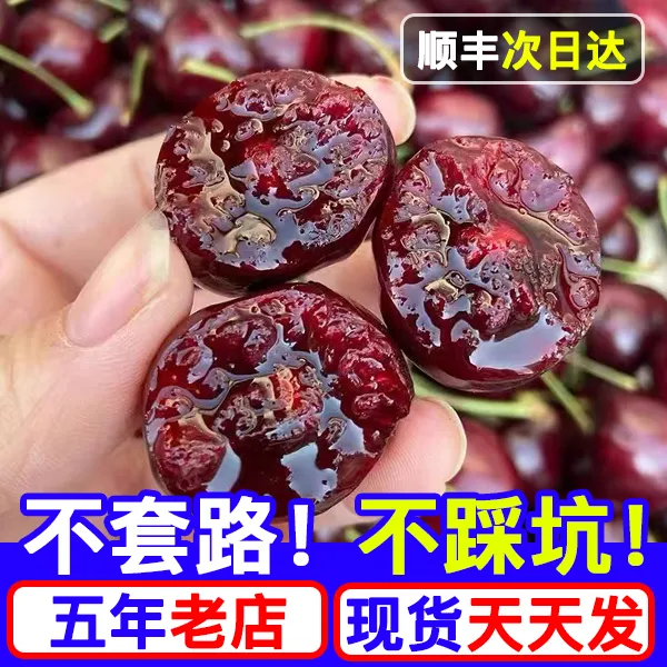 【5斤原箱】桑提娜智利进口车厘子J-4J海运新鲜净重5斤 内附果径卡