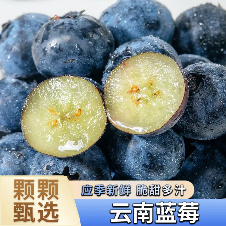 头茬云南高山新鲜蓝莓大果 单果15-24mm100g/盒包邮现发