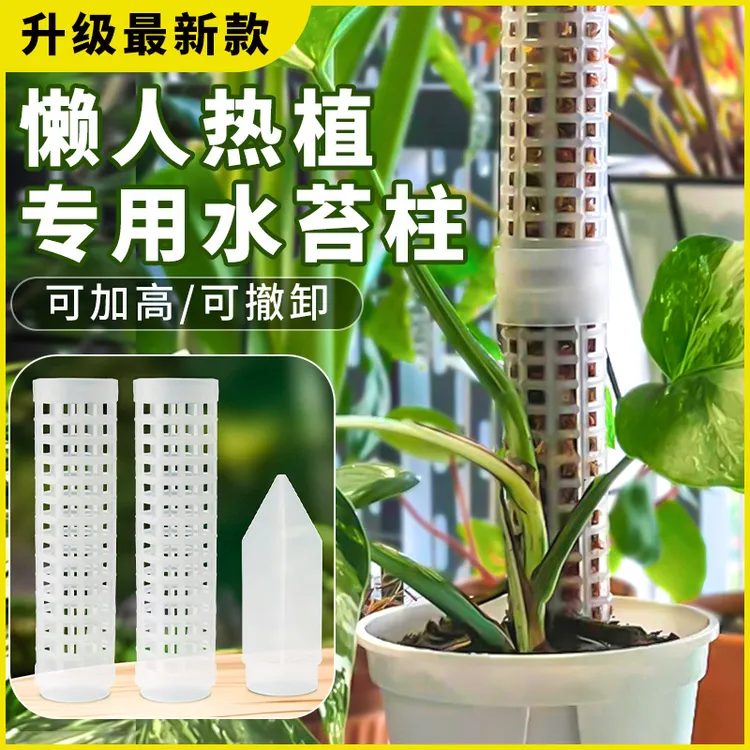 水苔柱龟背竹植物新型支撑杆水苔可拼接立柱滴水器蔓绿绒花架