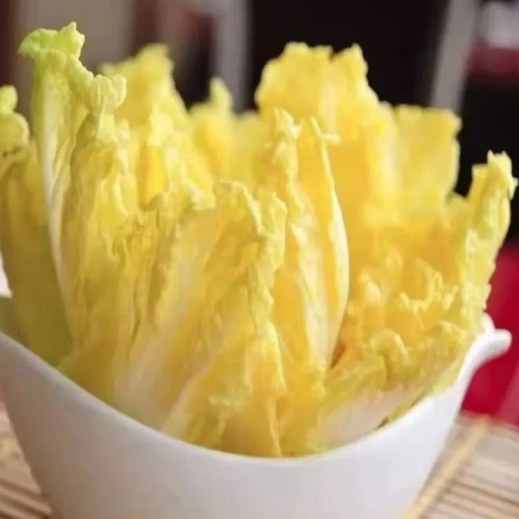 甘肃高原现摘现发黄心娃娃菜新鲜时令清甜软糯无筋无丝净菜