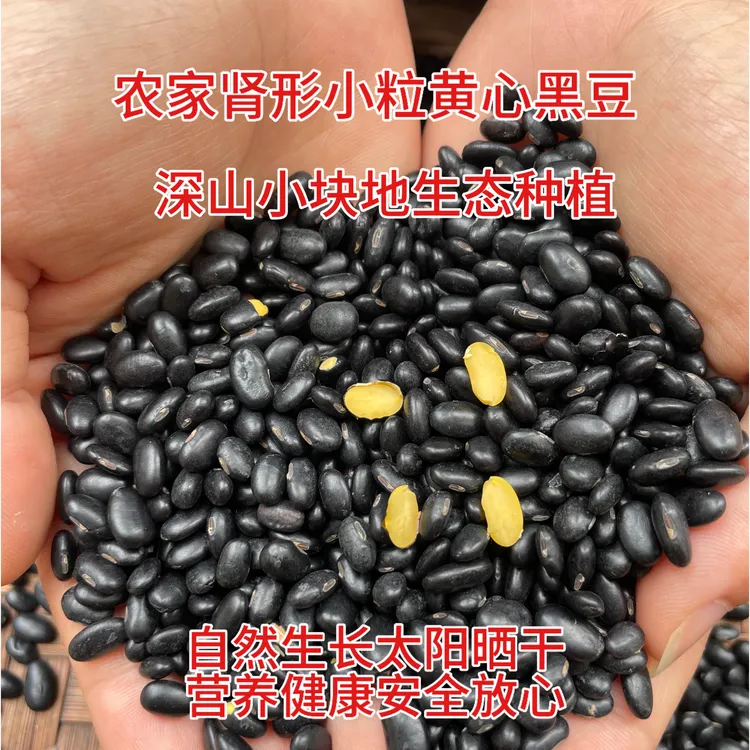 农村土货肾形黄心黑豆小粒1斤老品种腰形深山不打药小块地种植