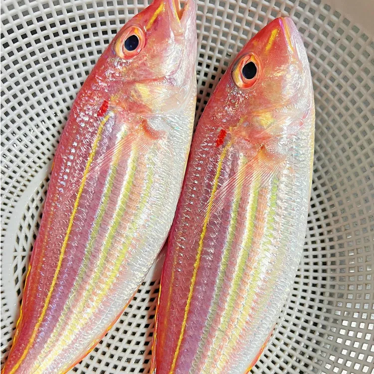 金线鱼广东南海金线鱼3条/斤 买3斤送一斤 到手4斤