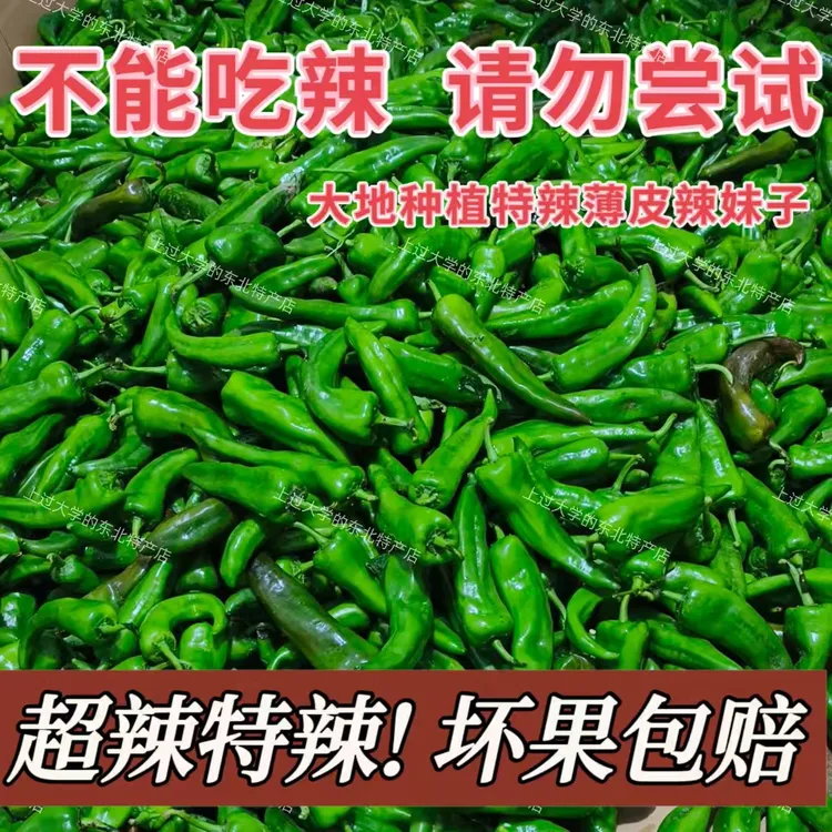 2025新鲜采摘农户自种露天土辣椒皮薄肉脆特辣特香辣妹子