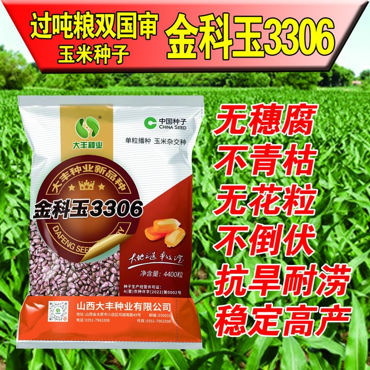 懒管理玉米种子高产高抗病懒管理