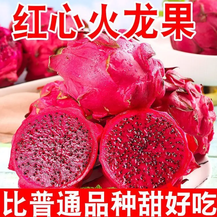 金都一号红心火龙果 现摘现发皮薄多汁当季新鲜软糯清甜 孕妇水果