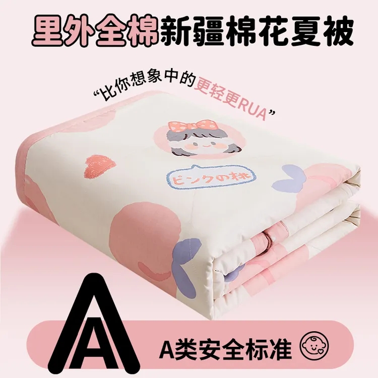 里外全棉夏凉被空调被春秋夏被纯棉花棉被夏季被子被芯学生宿舍ny