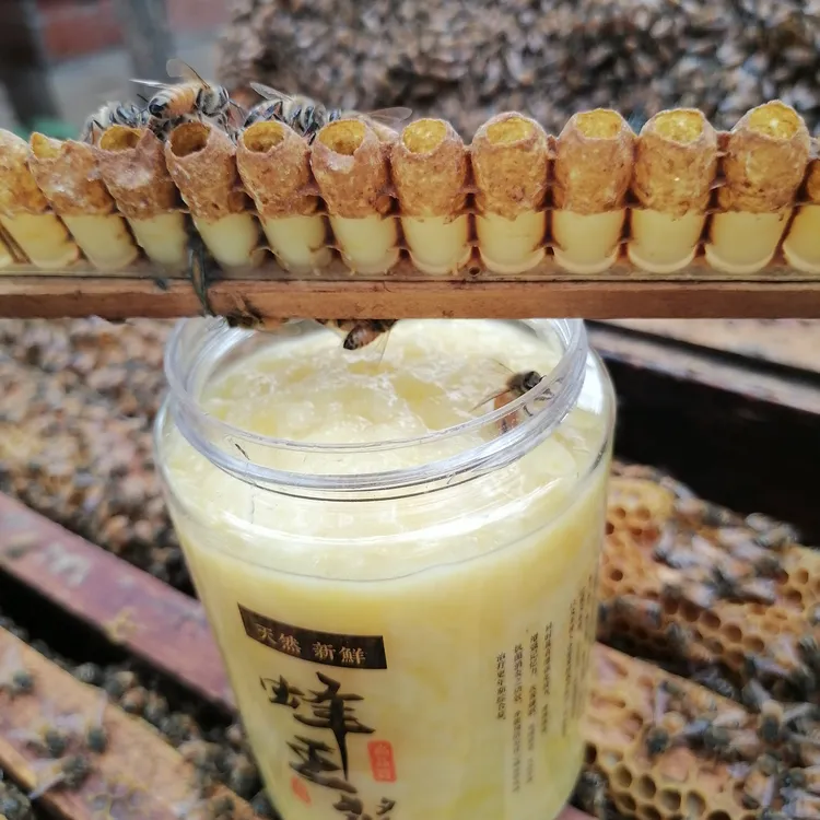 （买5瓶送2瓶同款）到手7瓶  25年蜂王浆   蜂农直销  顺丰送货上门