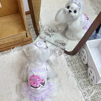 RH Pet 韩系紫蛋糕cake裙