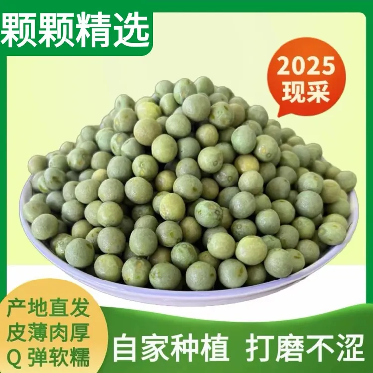 2025中果10-12mm新鲜带壳鸡头籽芡实鸡头米鸡头果