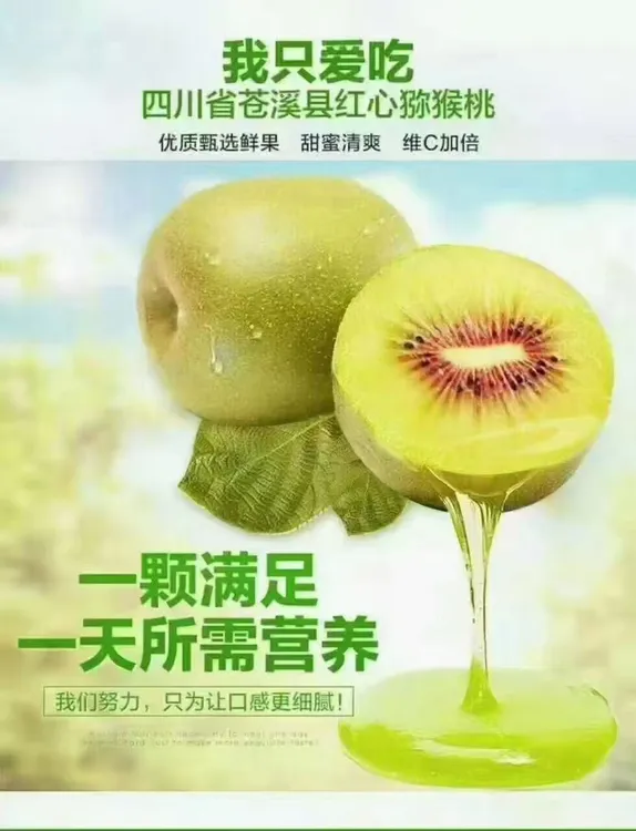 正宗苍溪红心猕猴桃新鲜当季水果香甜多汁高山种植奇异果现摘新鲜